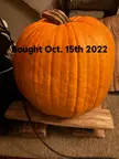 An uncarved orange pumpkin on a wooden pallet with text reading "Bought Oct. 15th 2022".