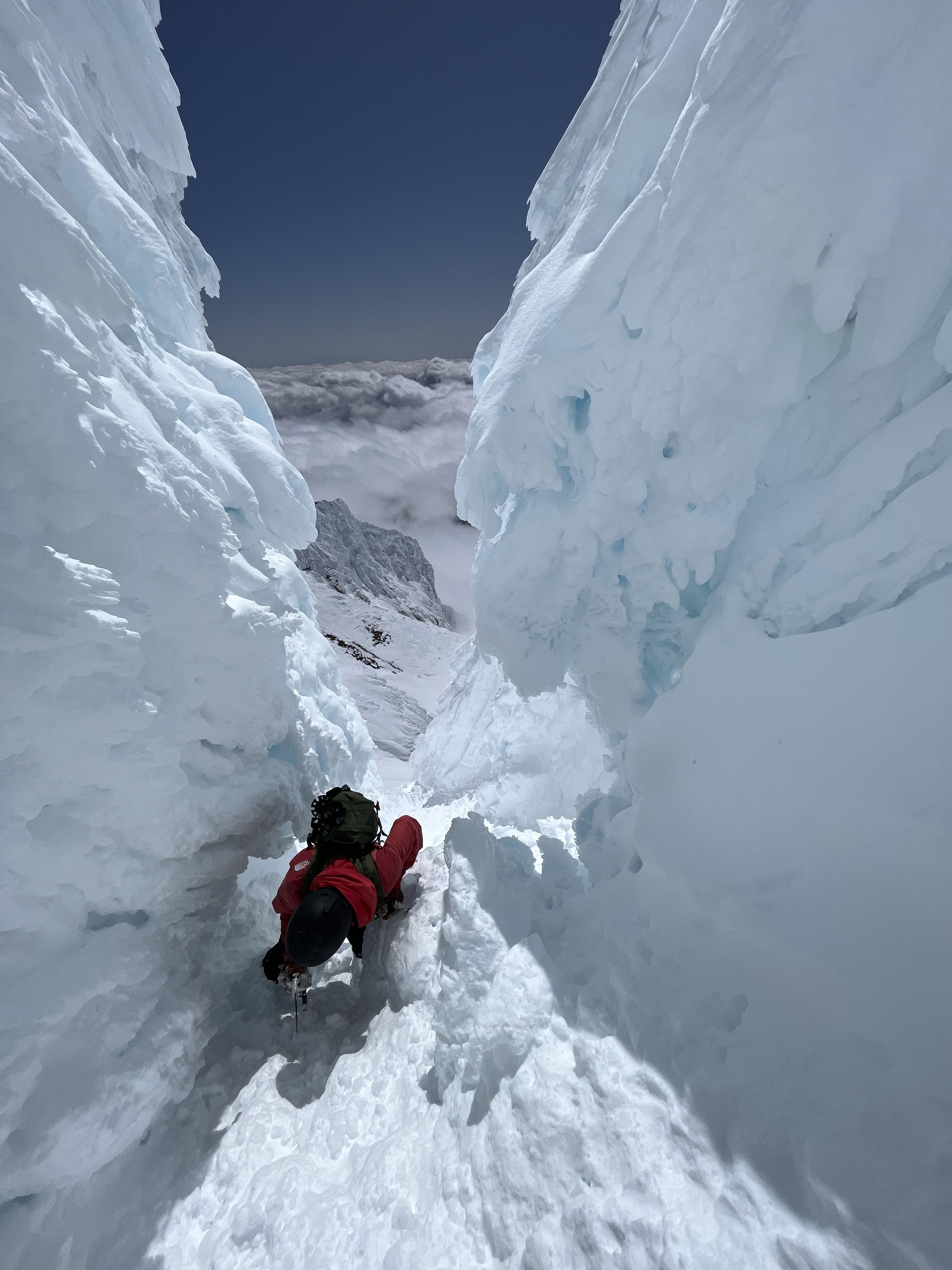 Spring has sprung in the PNW! | Scrolller