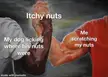Itchy nuts