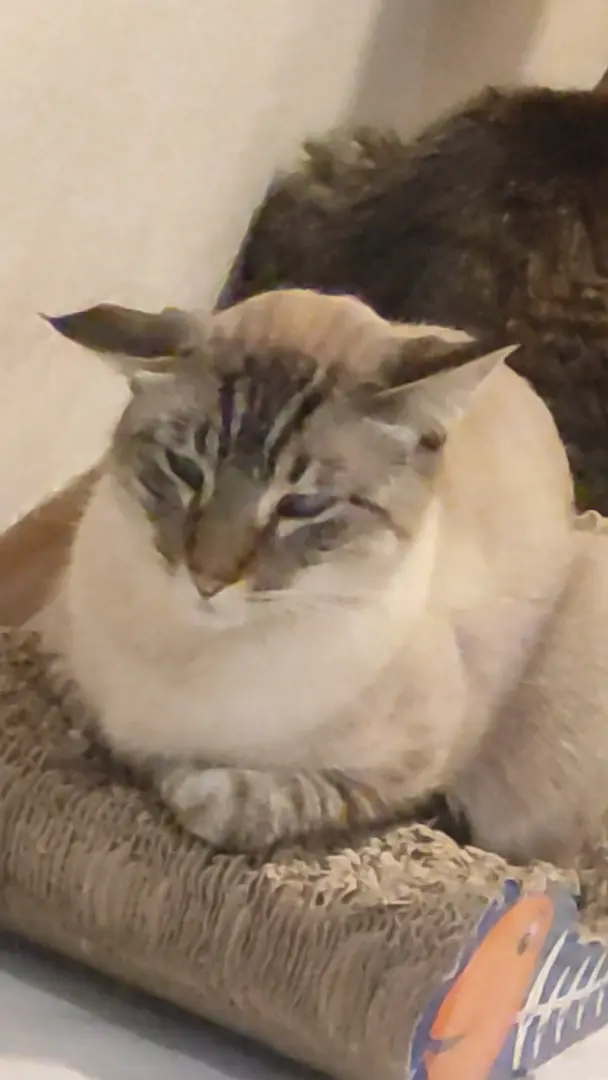 Ear stopped working. 