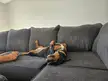 Easy like Sunday morning 