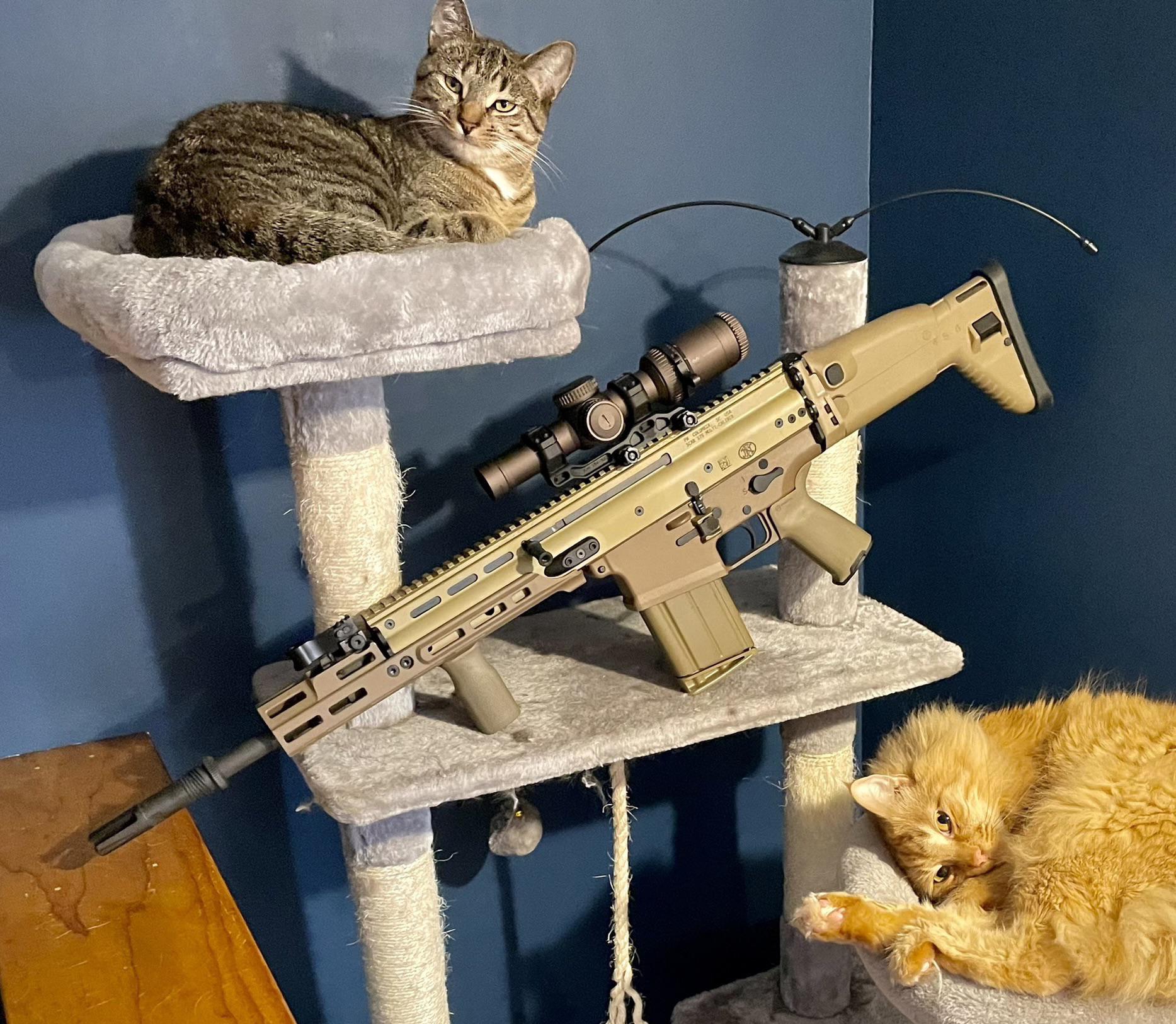 Fancy guns might be a poor financial choice, but I want my kids to at least say “Neat!” before they give them to a pawn shop