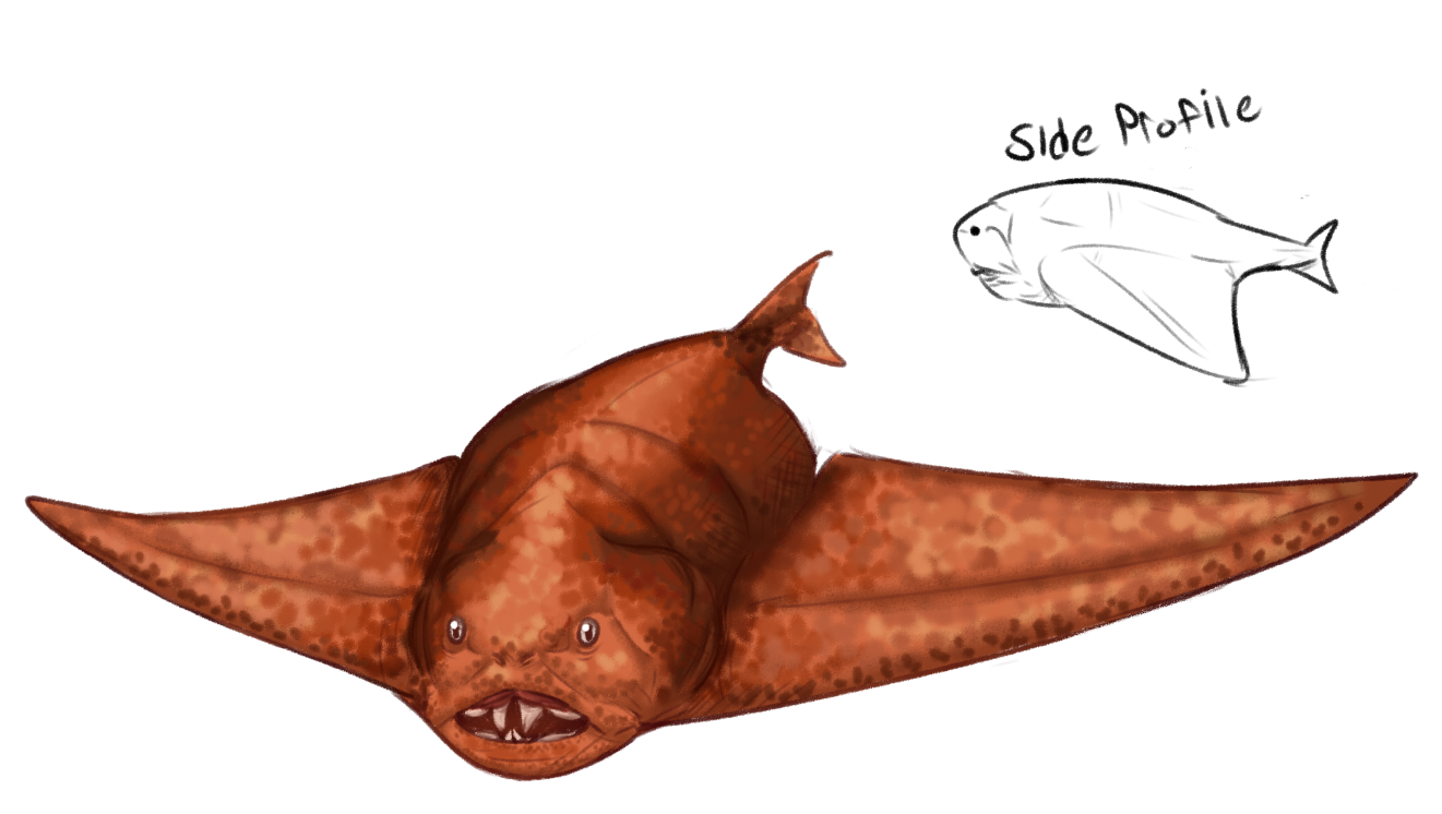swimming wing dunkleosteus idea for fun