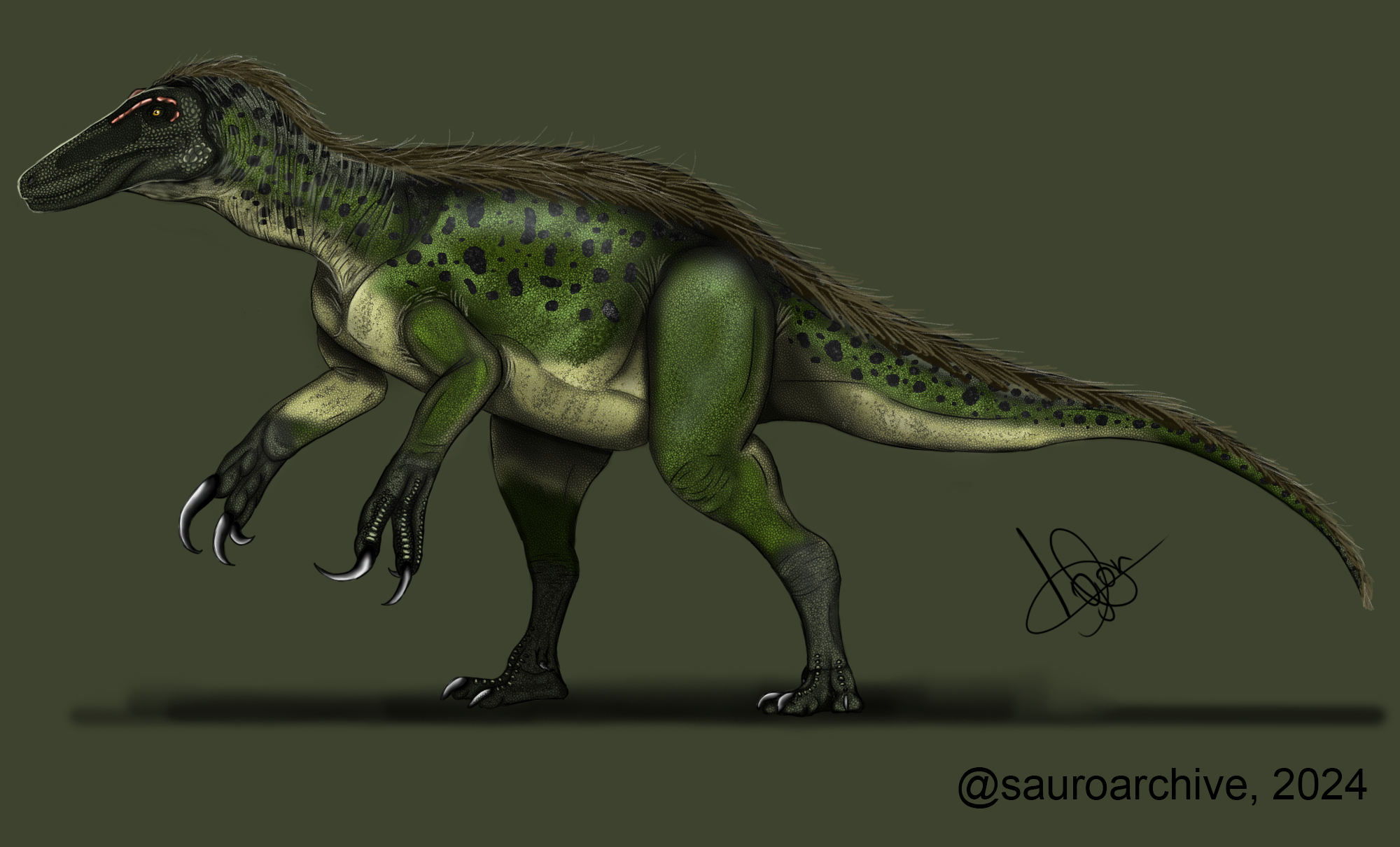 Orkoraptor burkei.