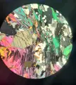 Staurolite porphyroblast in XPL