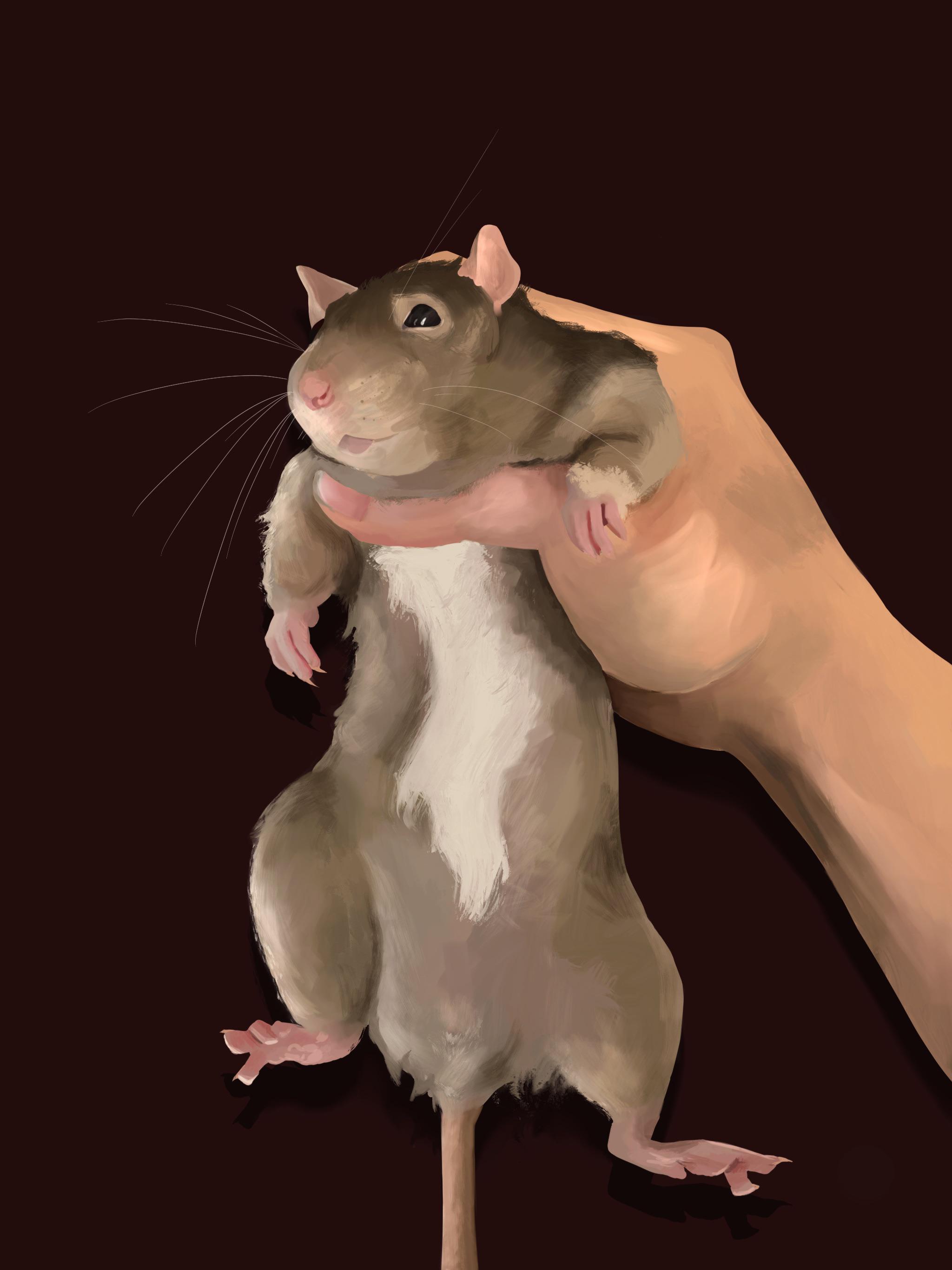 A Sketch of Sweetpea