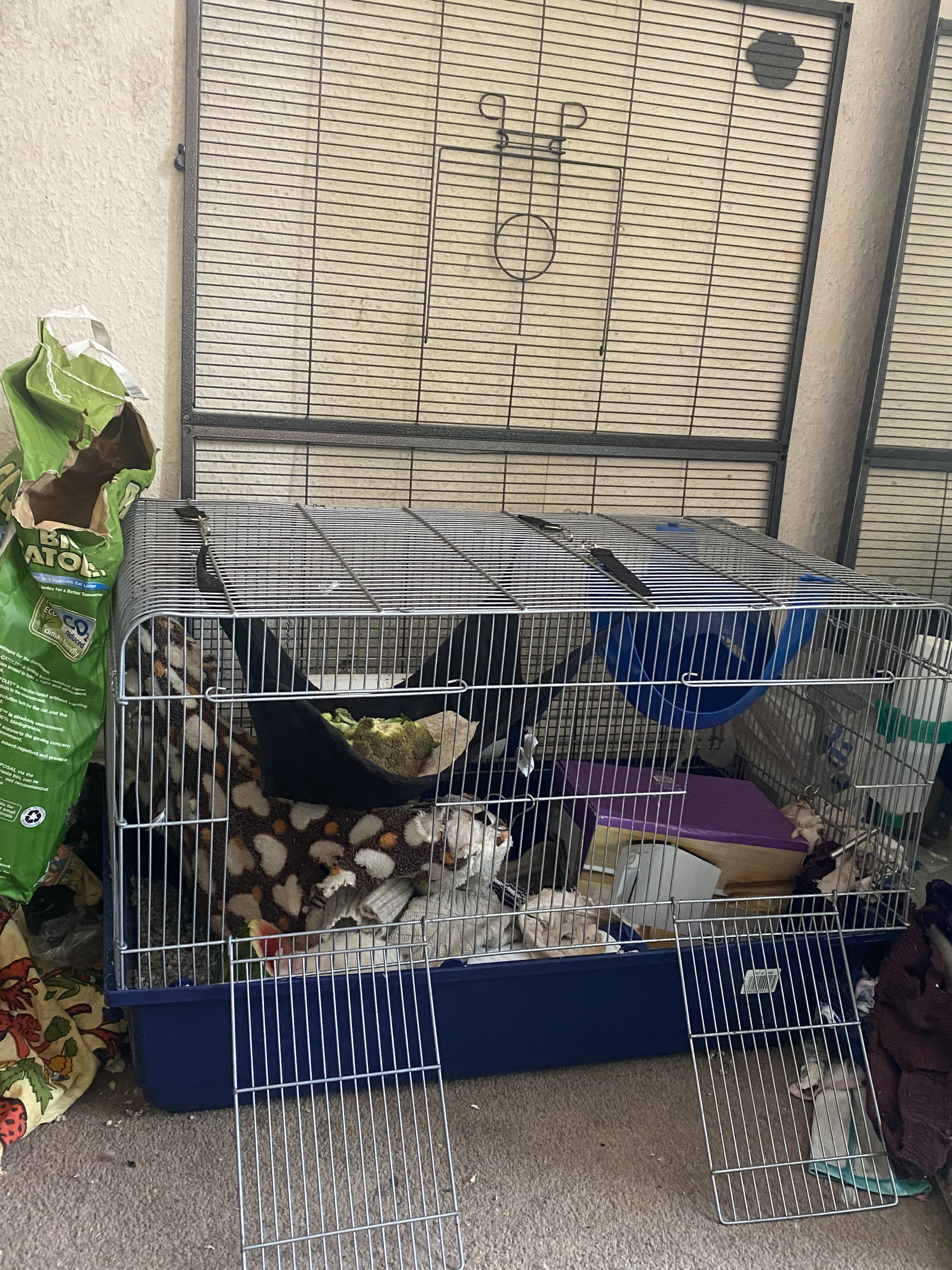 Is this cage ok for 6 hours a night ? For two females (untill the big cage is built )