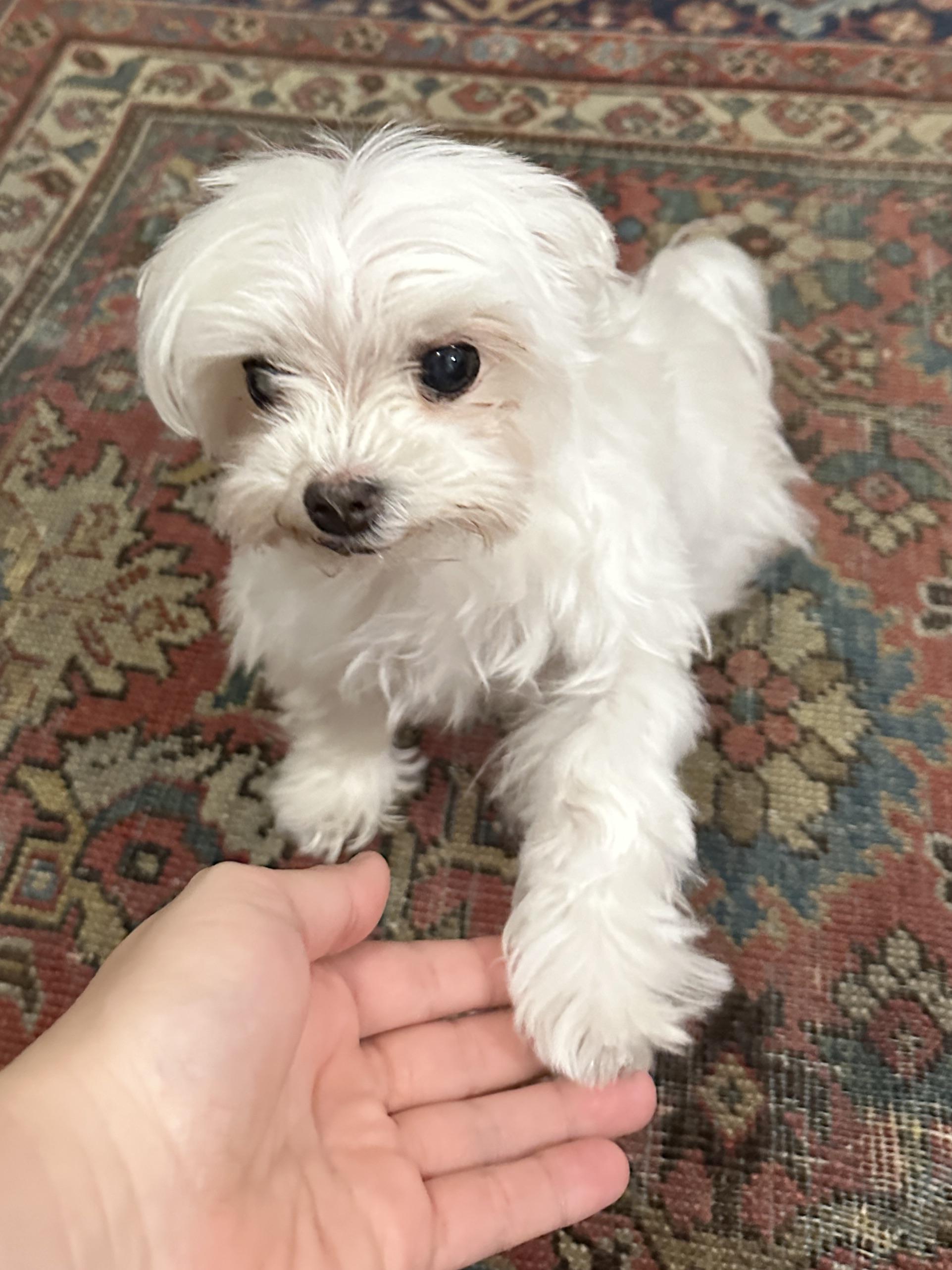 Mom and I made a deal she will never try to trim my hair at home again 👍🏼