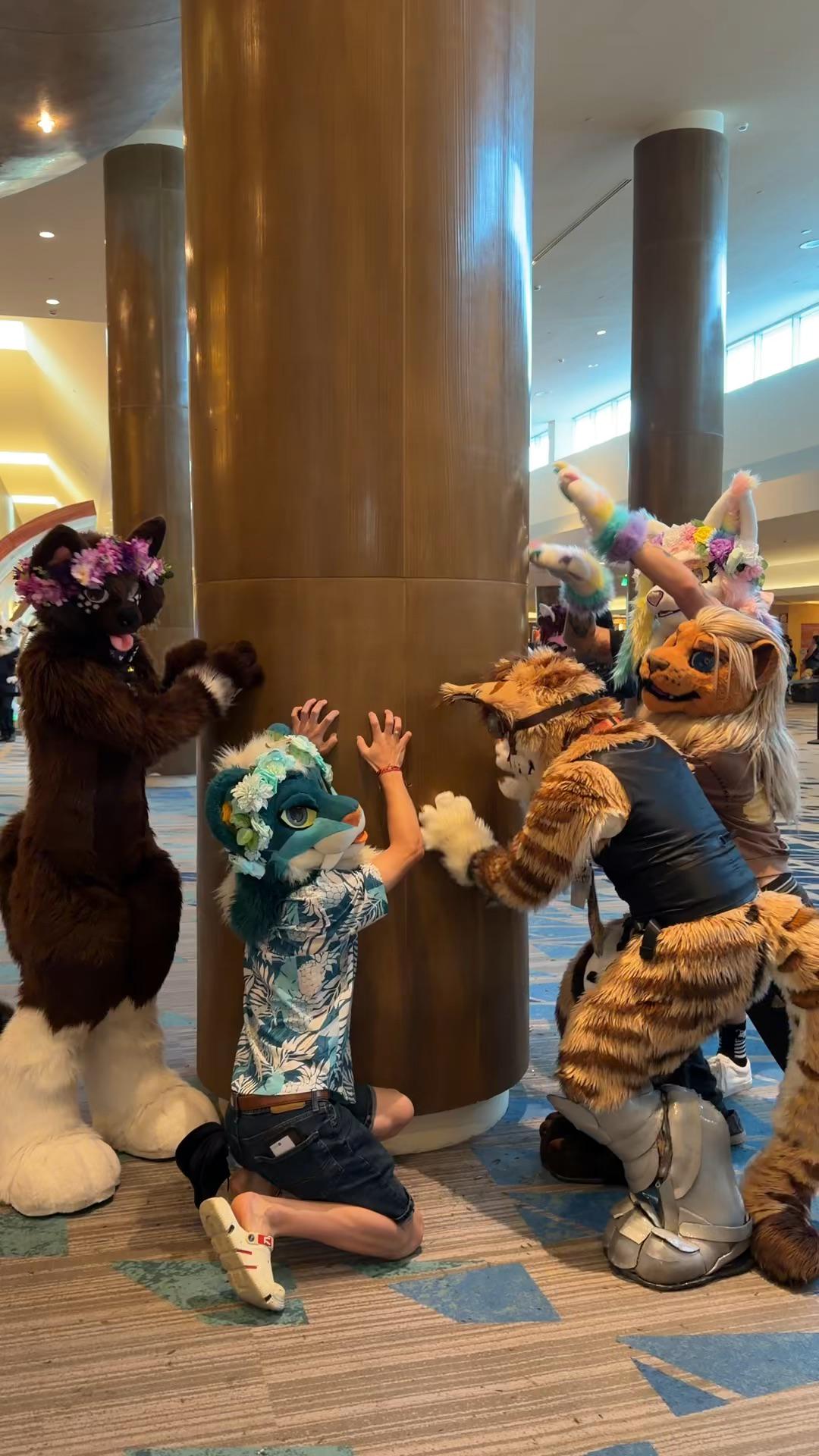 furryIRL