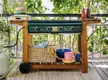 Anyone know what grill this is?