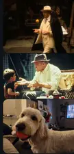 In "The Godfather" (1972) the scene of a character putting orange peels in their mouth, specifically Vito Corleone played by Marlon Brando, is a symbolic moment where he is playfully teasing his grandson while nearing his death, often interpreted as a foreshadowing of his impending demise.