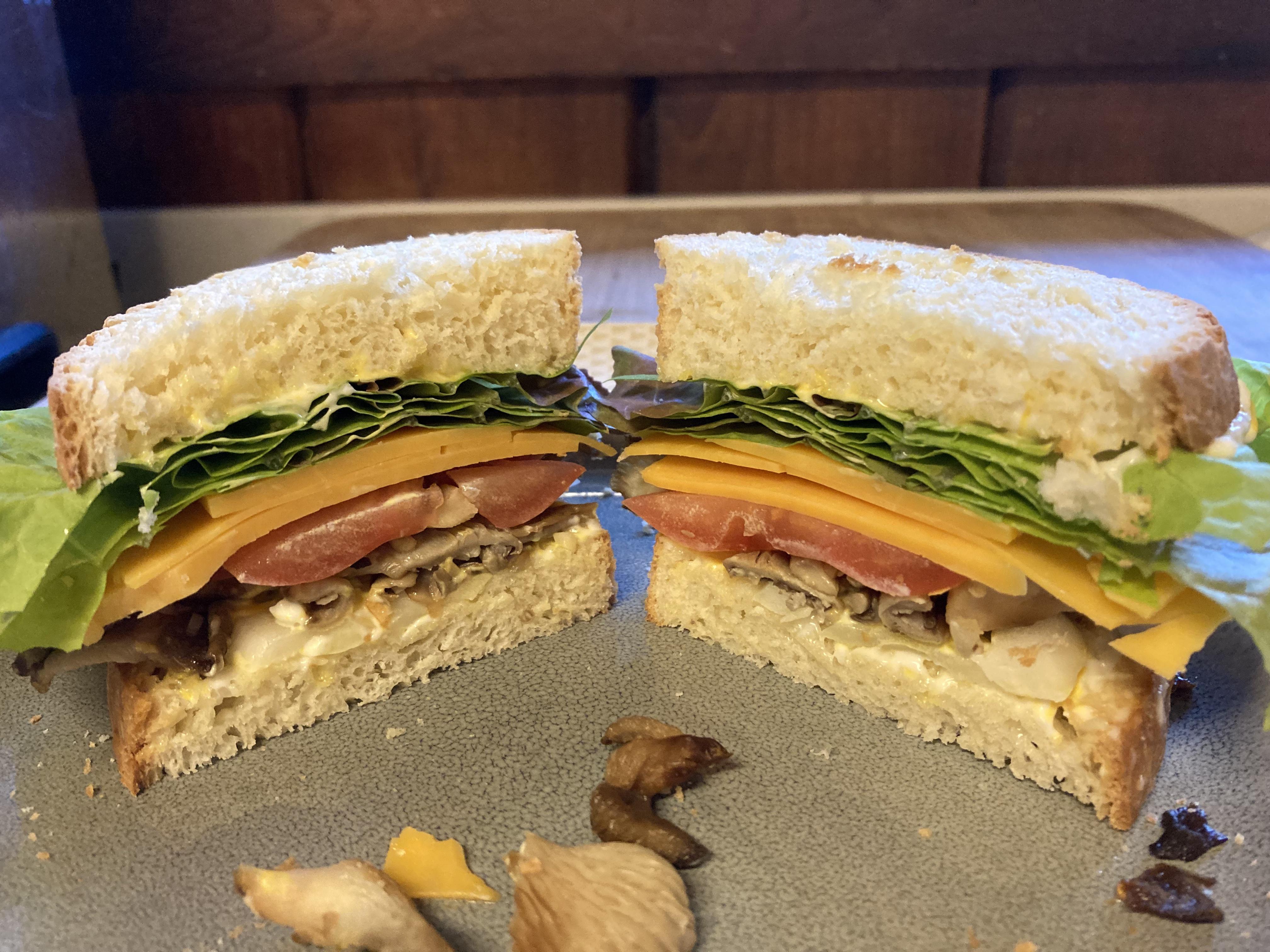 Homemade Sandwich Homegrown Oyster Mushroom Homegrown Lettuce homemade-sandwich-homegrown-oyster-mushroom-homegrown-lettuce