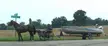 I finally got a photo of an Amish horse &amp; buggy towing a boat. Photo taken in Southwest Michigan. (Face blurred to respect cultural beliefs)...