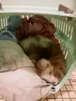 why so cuuuuute