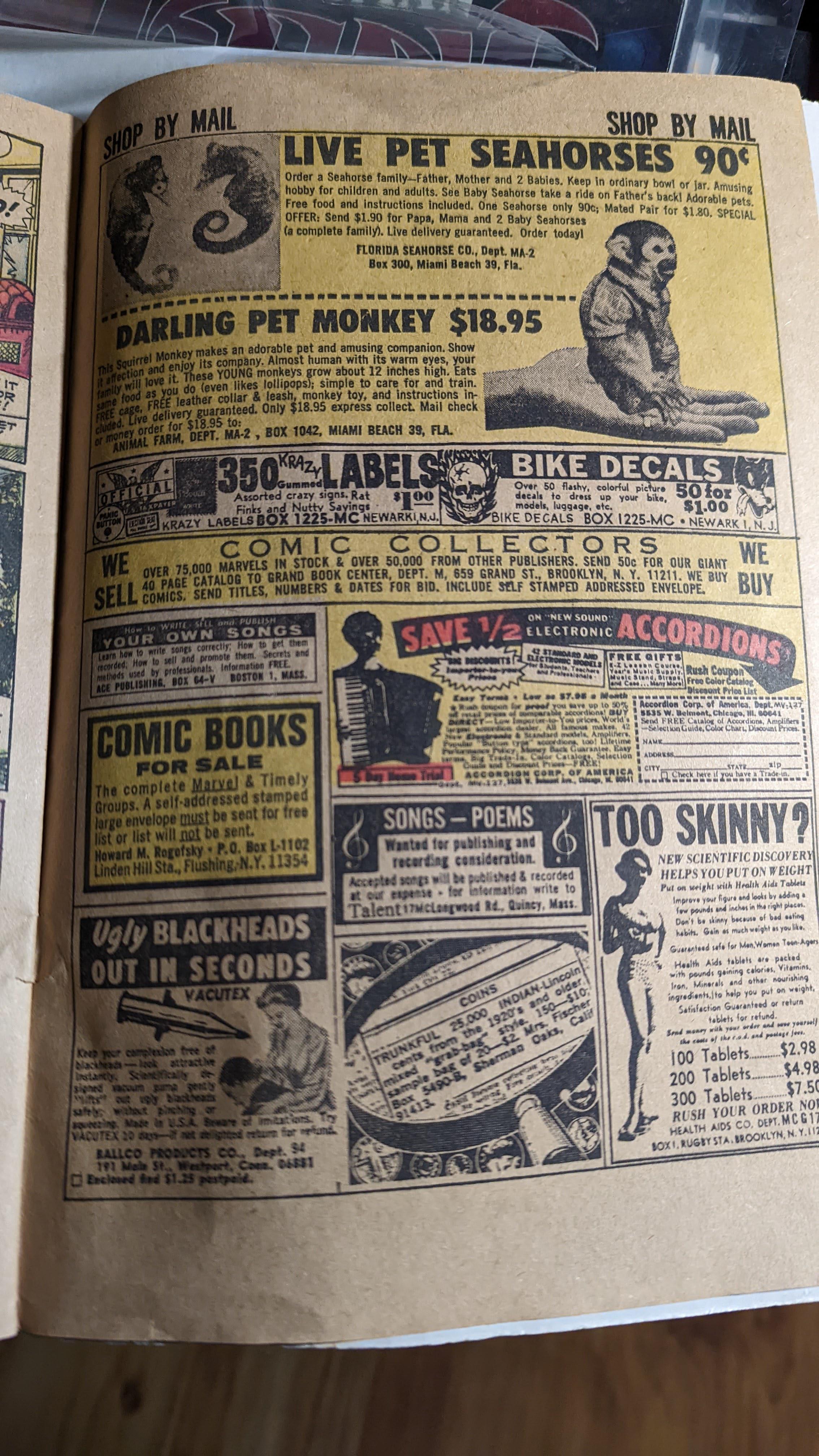 An ad for a mail order pet monkey in an old comic book | Scrolller