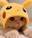 I choose you