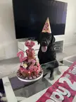 2nd birthday