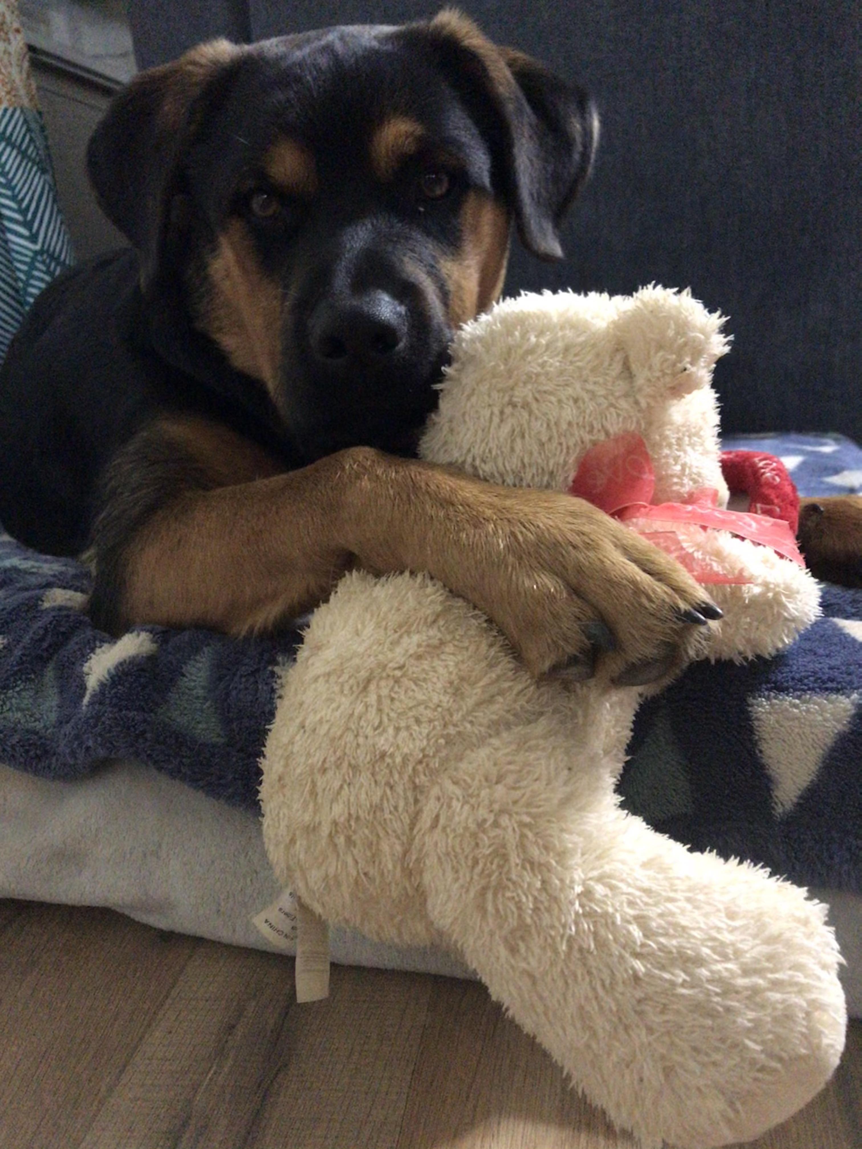 Rumple still skin and his bear | Scrolller