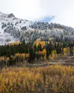 Seasons Collide in the White River National Forest, Colorado, OC [OC] [1638x2048]