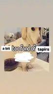 Speaks for itself