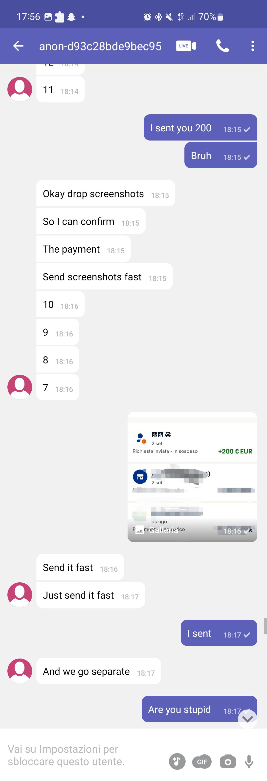 Scambaiting screenshots of a sextortion attempt on Telegram featuring a fake McDonald's job application