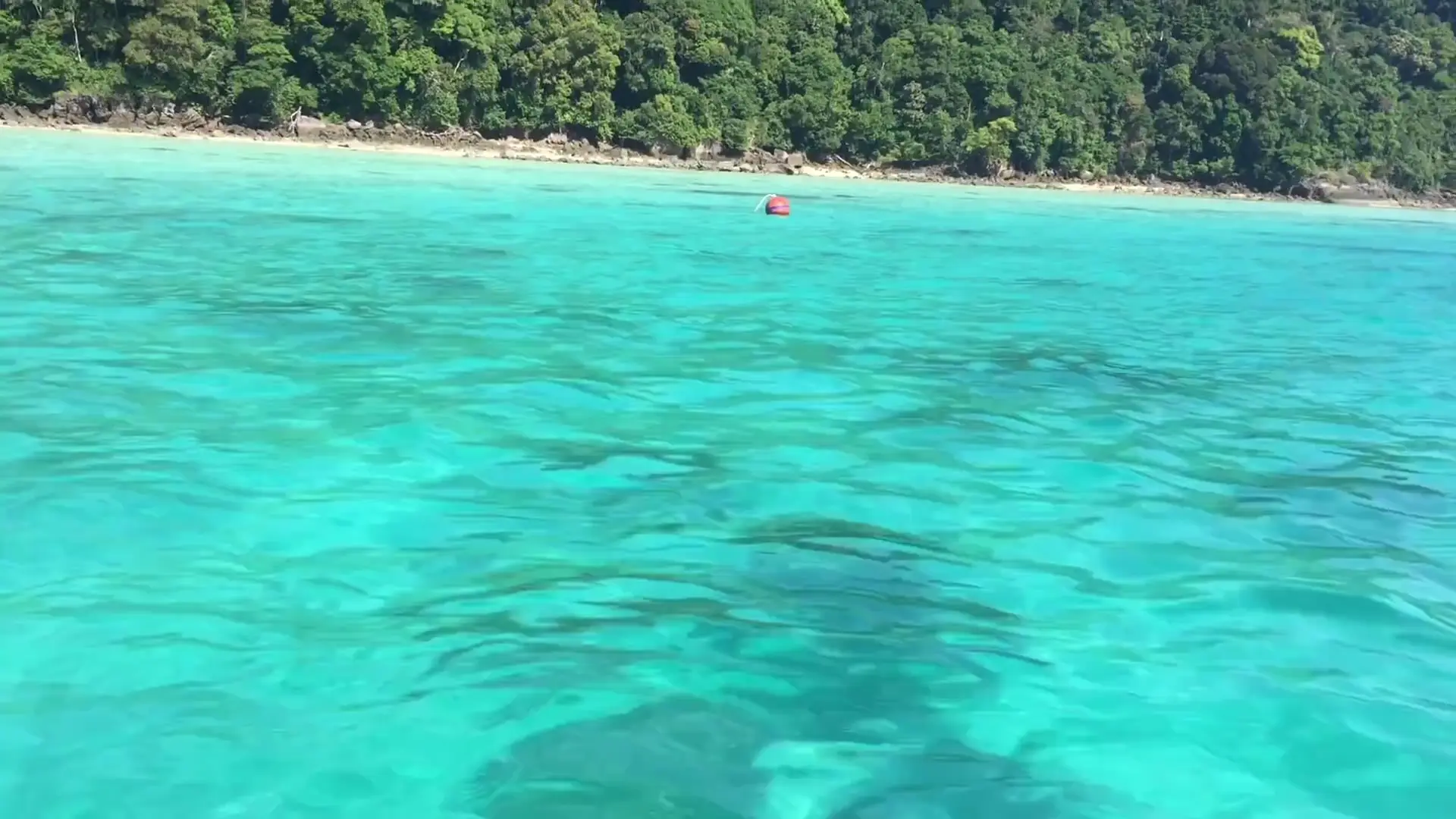 En route to Monkey beach and at the Monkey beach in Koh Phi Phi 🇹🇭