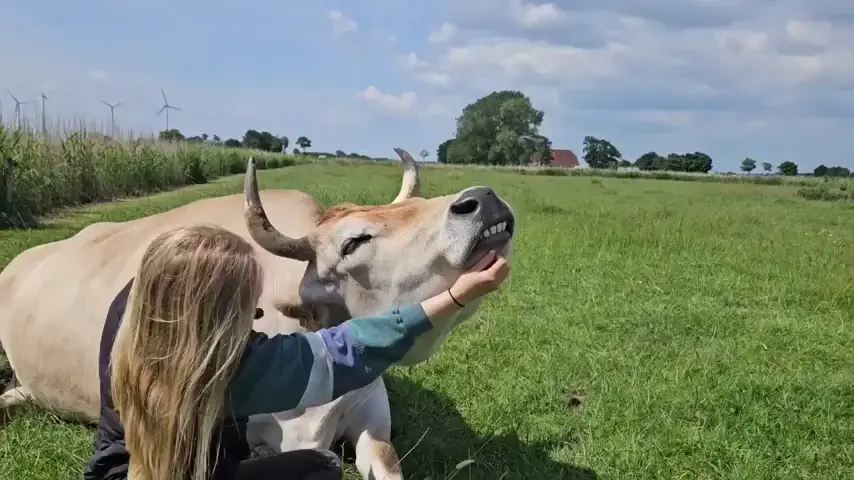 Enjoying a good scritch