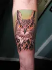 Eurasian Eagle Owl tattoo