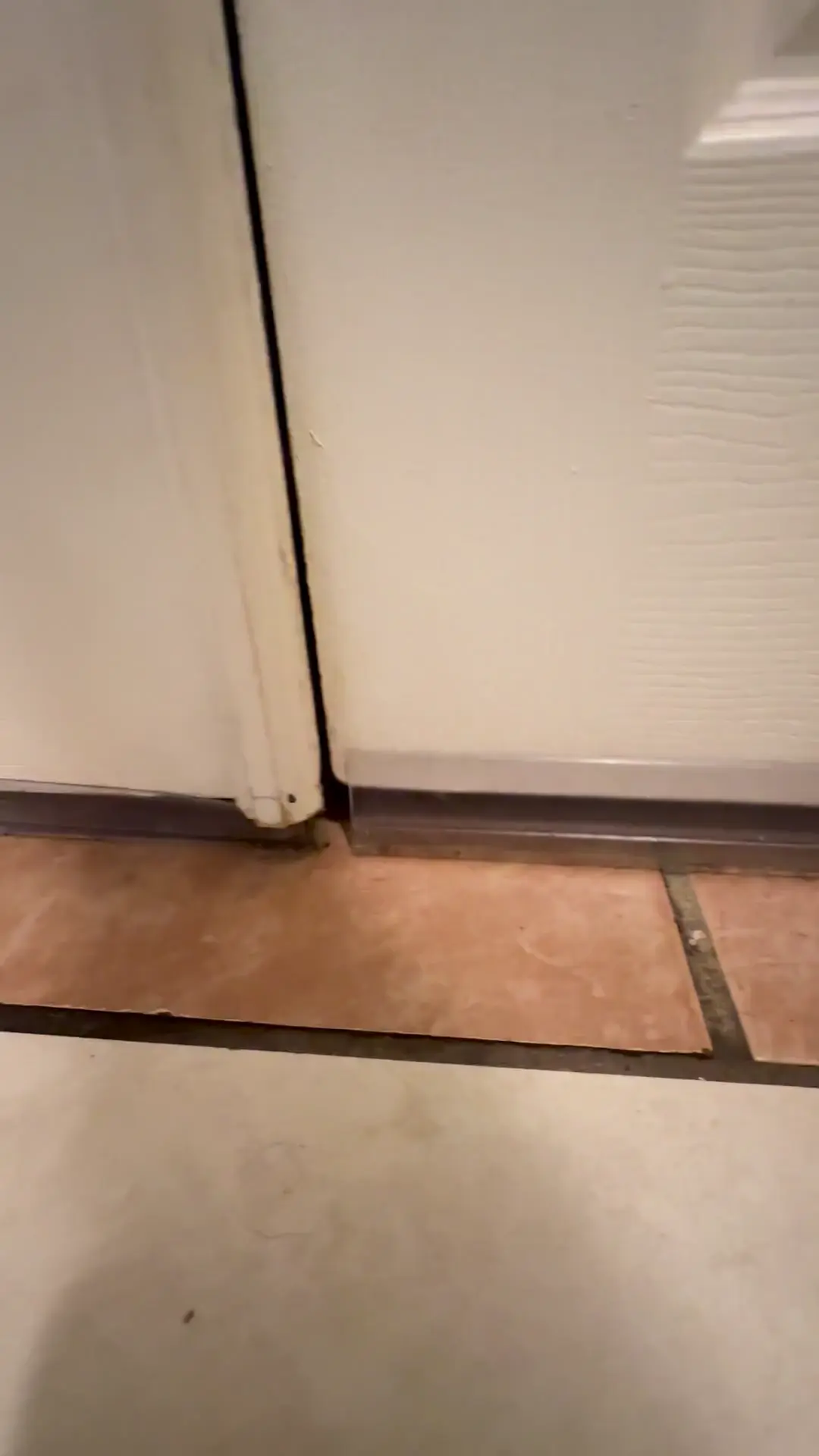 everybody, charge!!!!!!                 (20+ ferrets)
