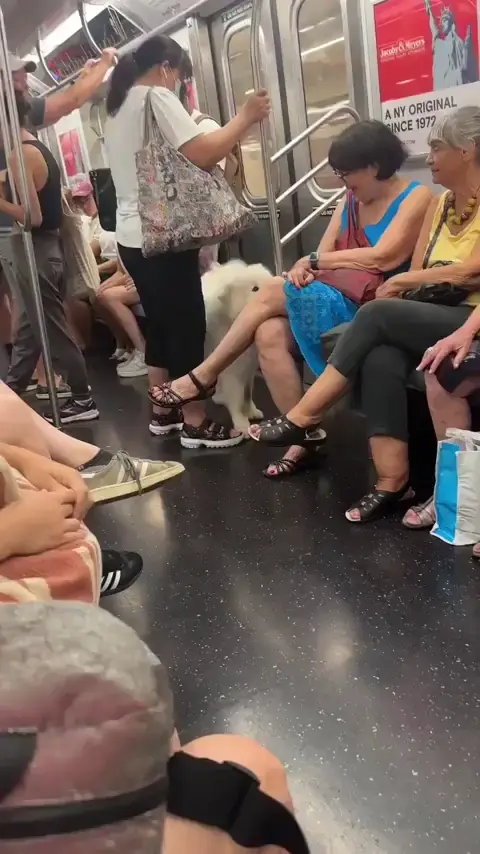 Everyone gets a pat don't worry