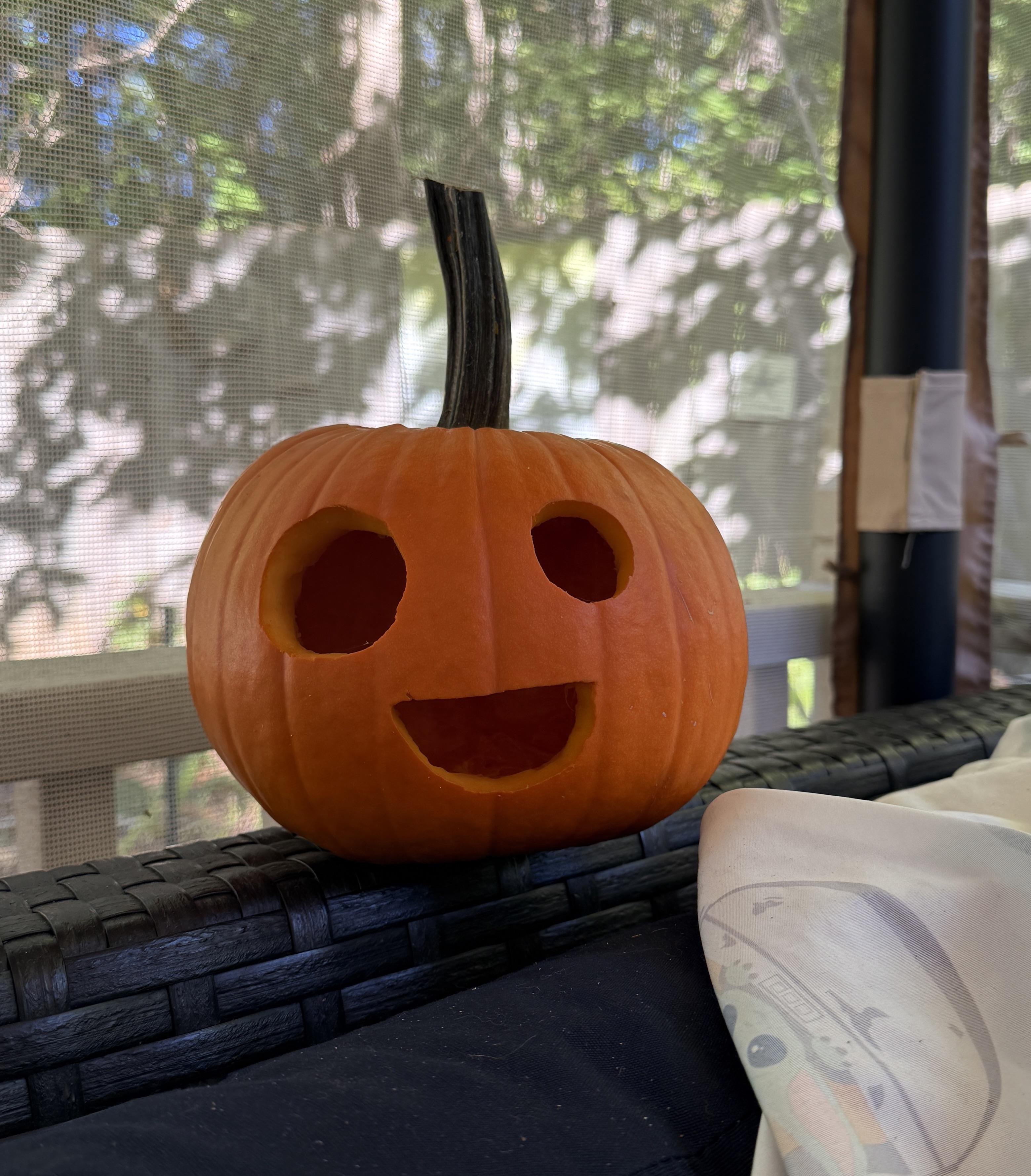 Everyone Meet Bob Scrolller