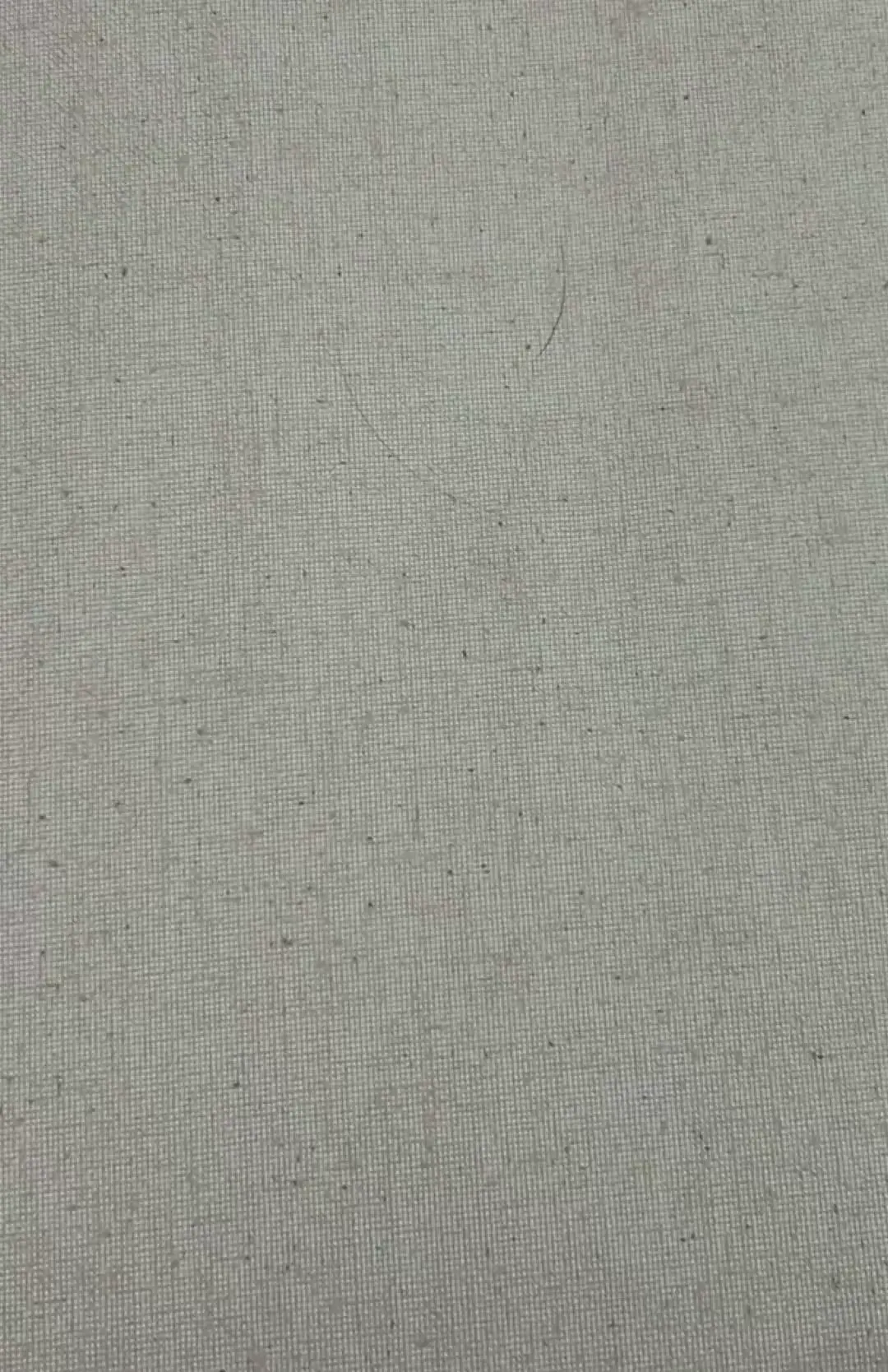 Eye: stop motion animation 