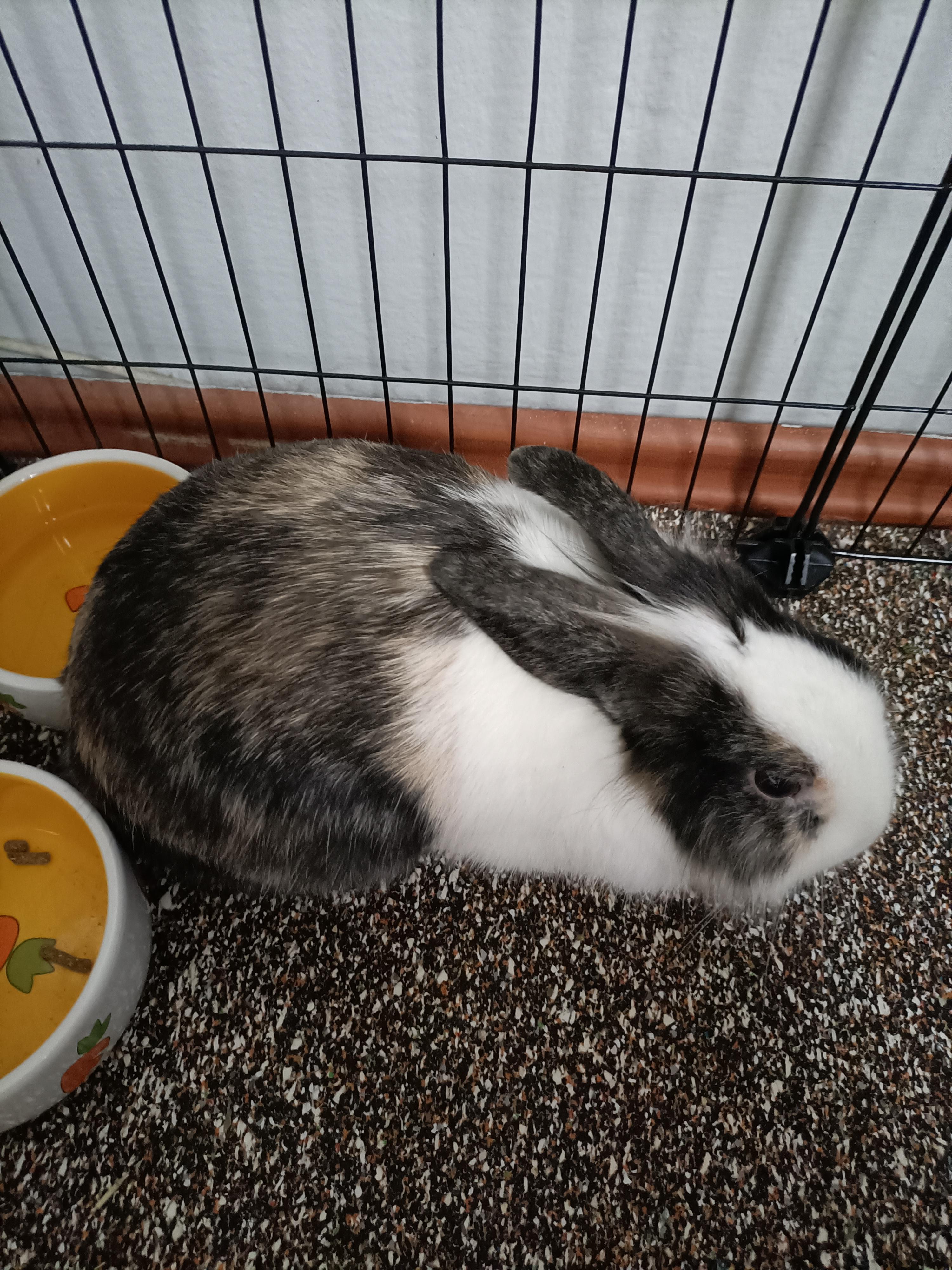 Hello! Need help :d