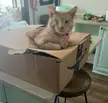 He is one with the trap