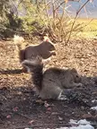 We shorties gotta stick together