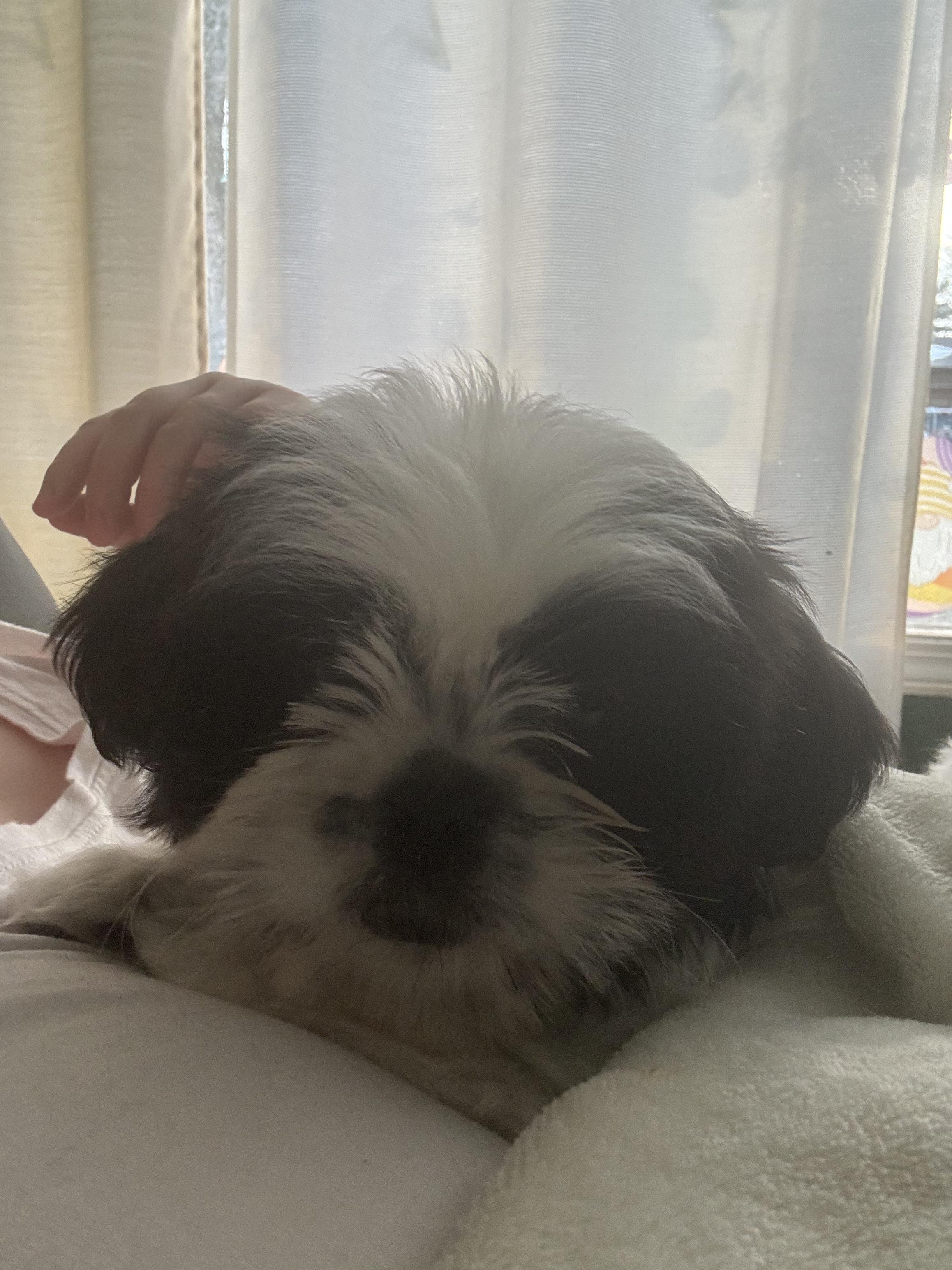 Say hello to baby Ava Marie ❤️