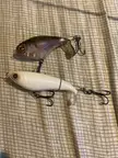 Never caught a top water fish, are these good? And when should I use them?