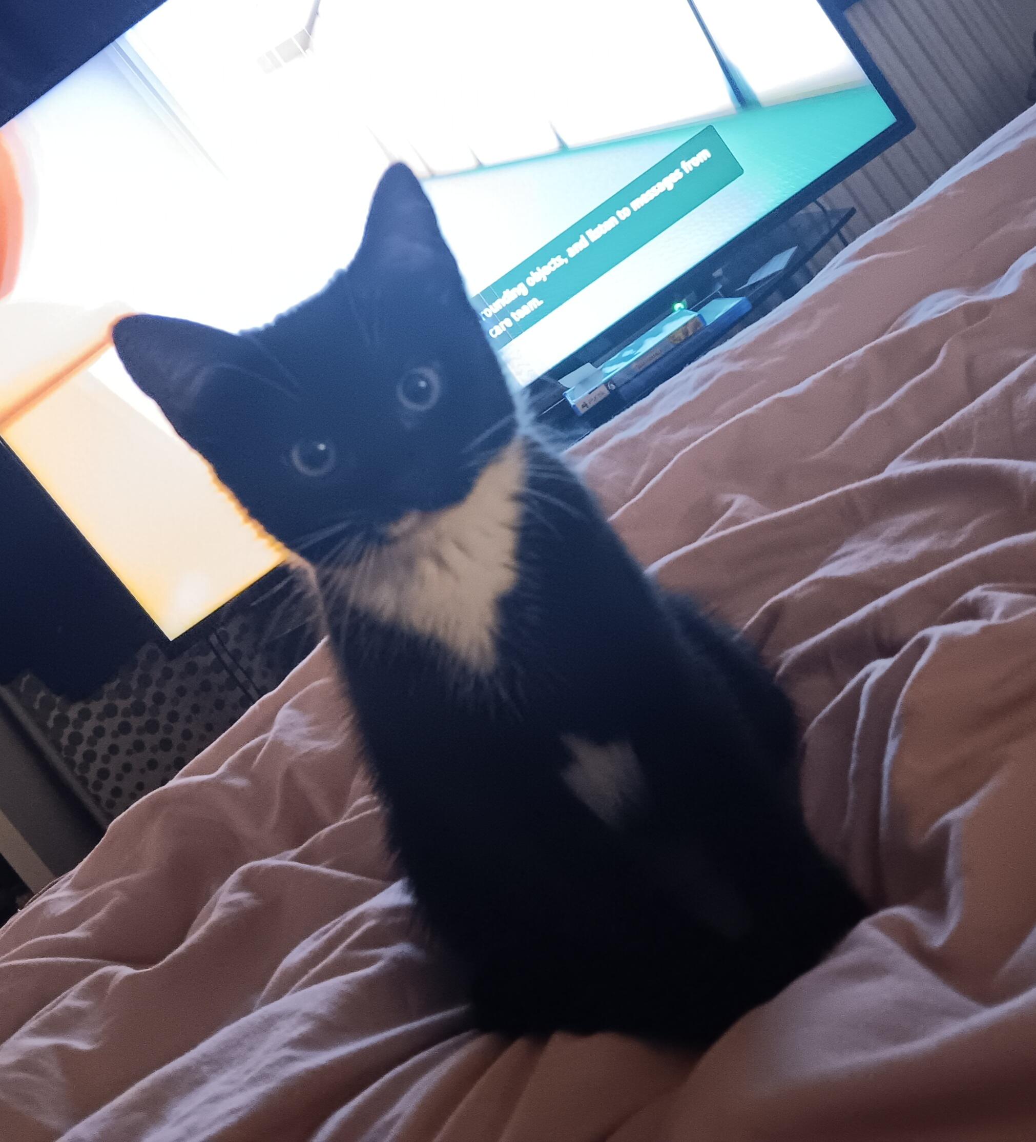 My bug eyed girl 