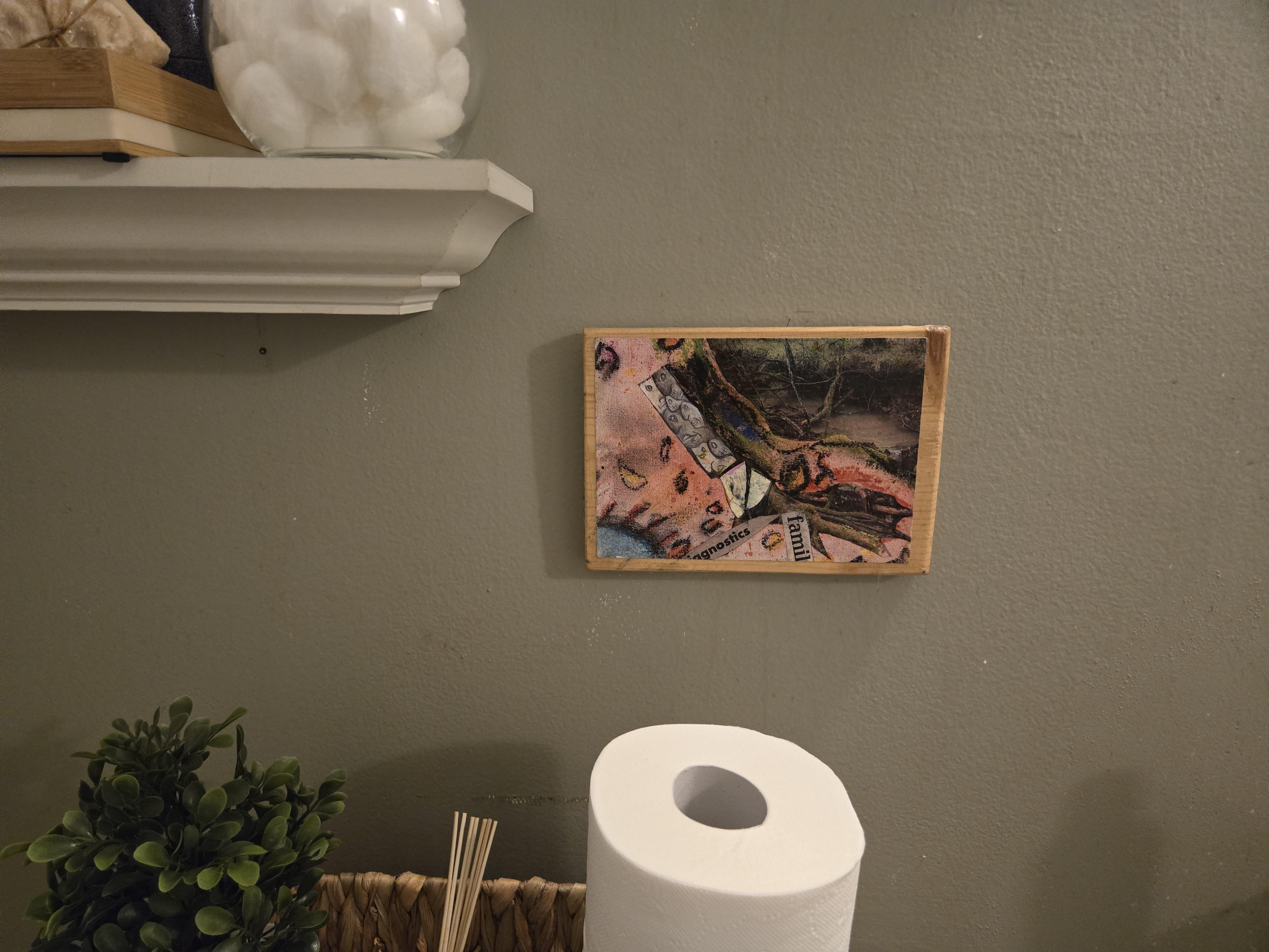 Black and white abstract art oil painting on a wall with a shelf, plant, and toilet paper in a bathroom