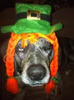 When Irish Eyes are Smiling…