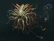 Siphonophore Evolved by artist Benjamin Clair