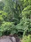 Riverbend Park
