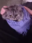 Purple is her colour
