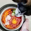 Hey, what are your Huskies eating? What are you feeding them?