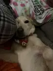 I love my silly girl 💕