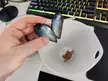 Found a stowaway inside my mussel
