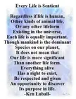 Every Life is Sentient