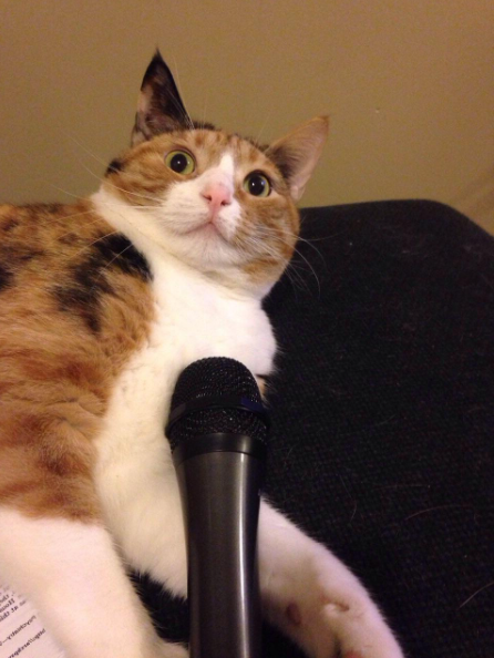 Feeling scared in stage