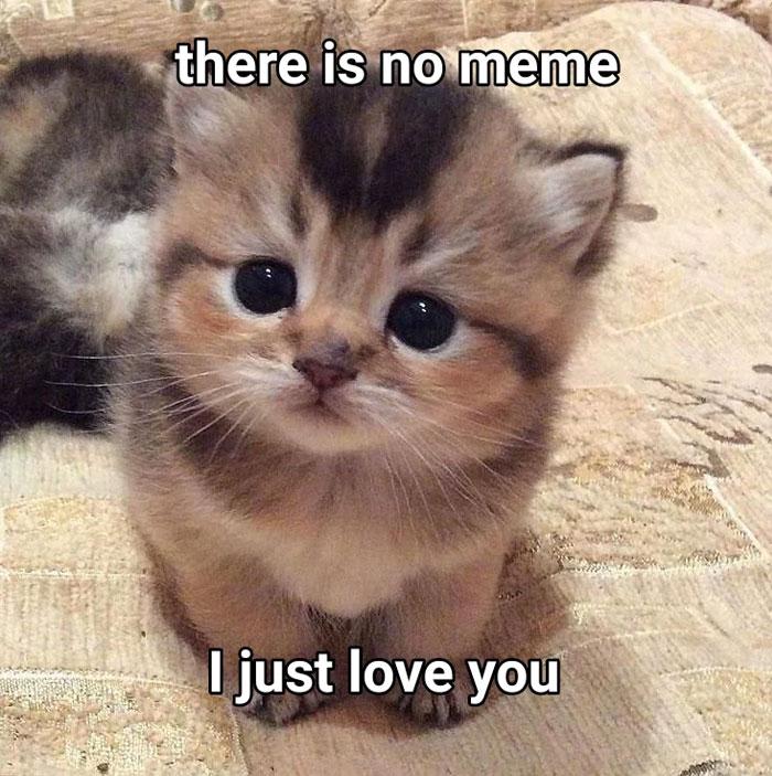 In case no one has told you yet today