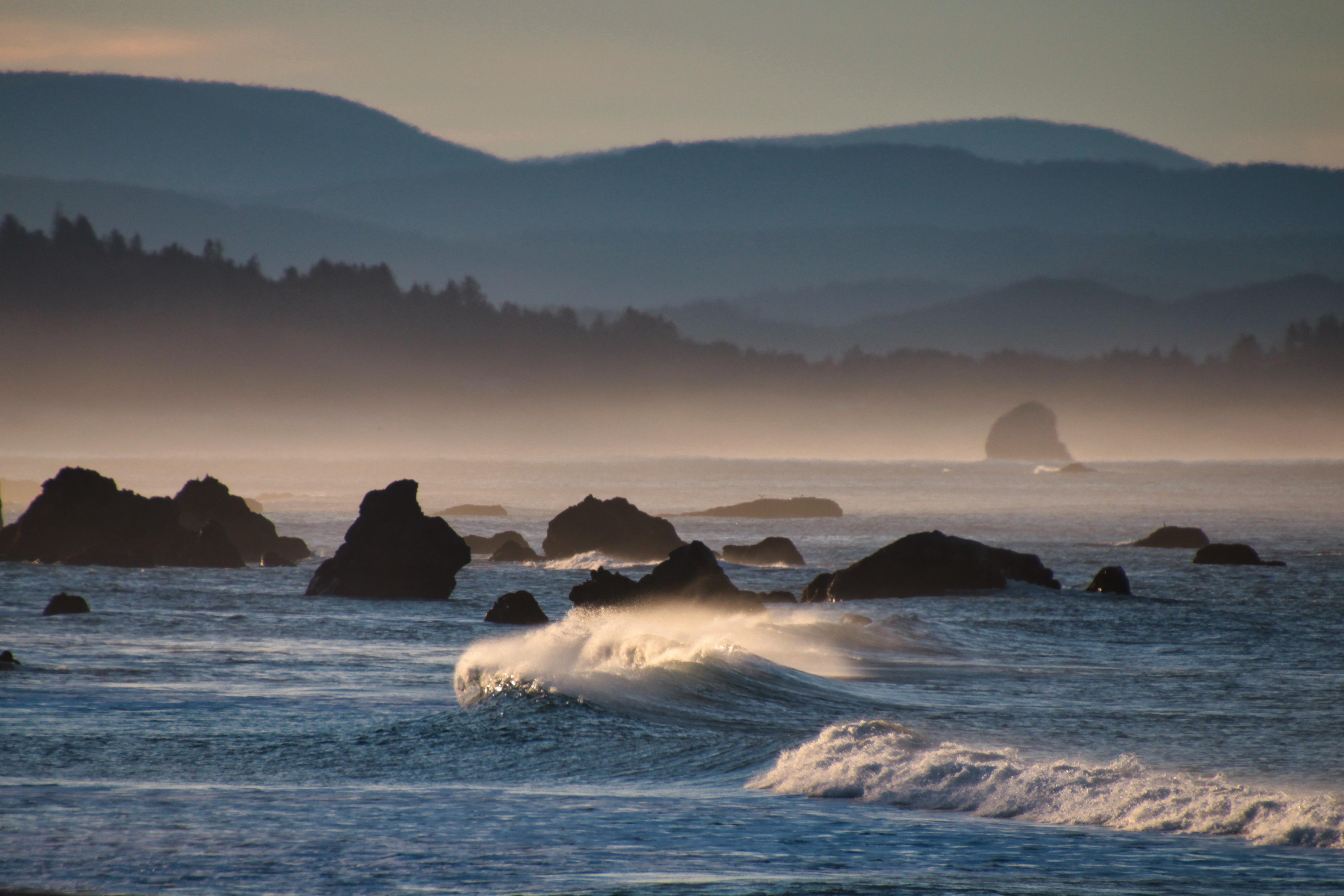 Oregon Coast in January [OC] | Scrolller
